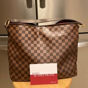 Louis Vuitton Delightful MM Damier Ebene Hobo Bag